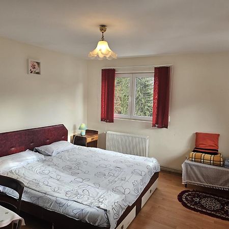 Apartament Retro-Relax Sinaia Ngoại thất bức ảnh