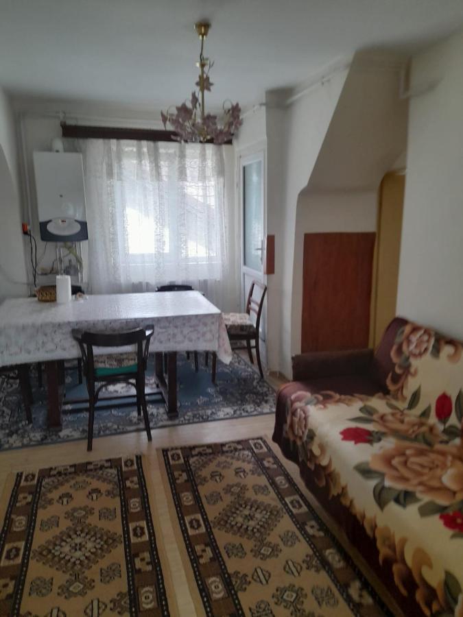 Apartament Retro-Relax Sinaia Ngoại thất bức ảnh
