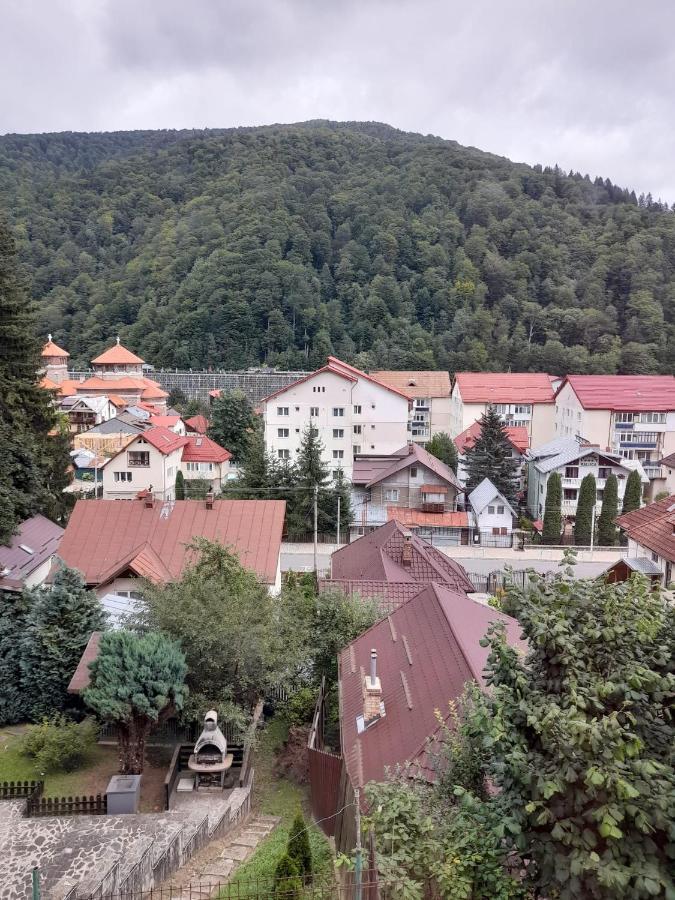 Apartament Retro-Relax Sinaia Ngoại thất bức ảnh